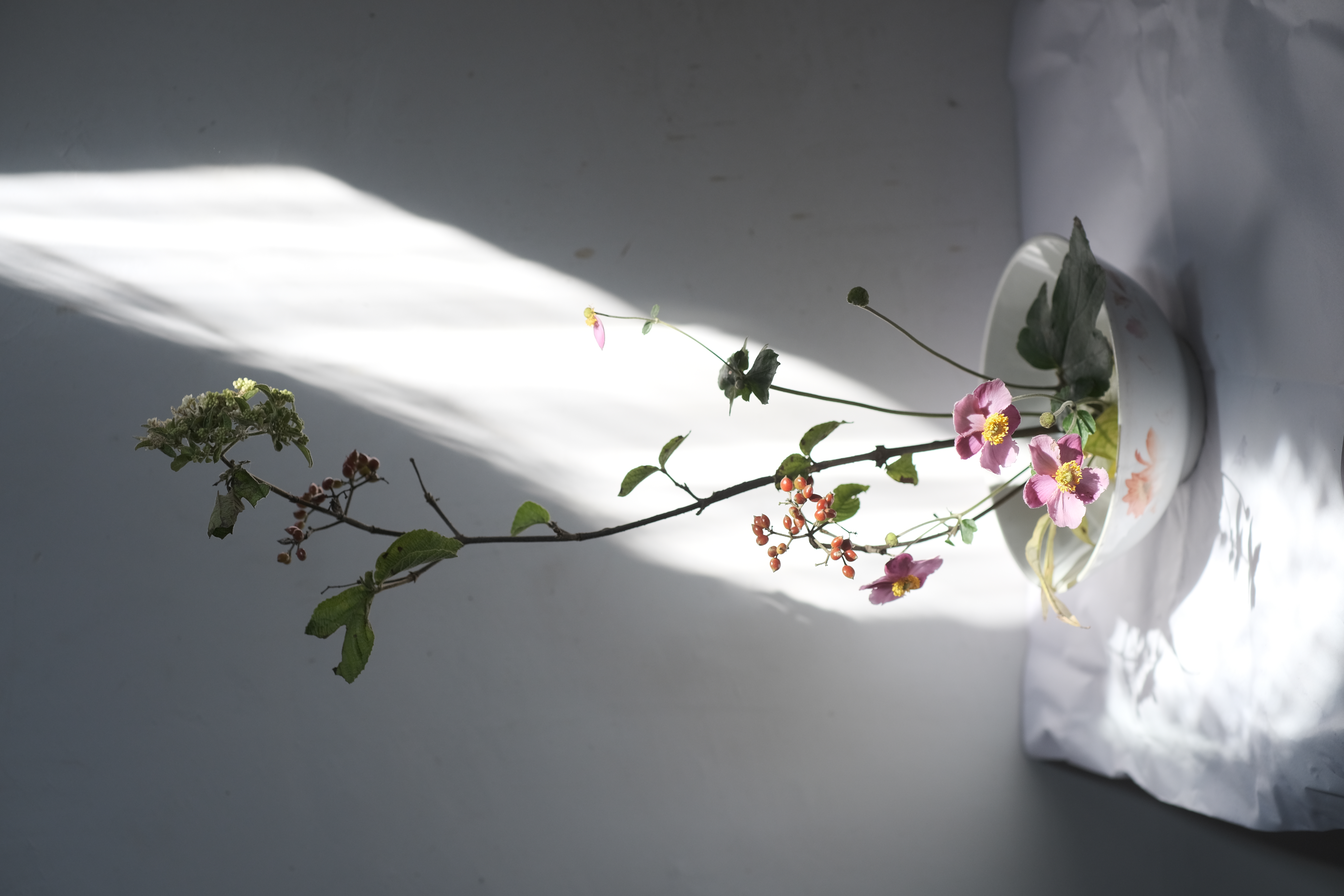 Ohara-ryu Ikebana