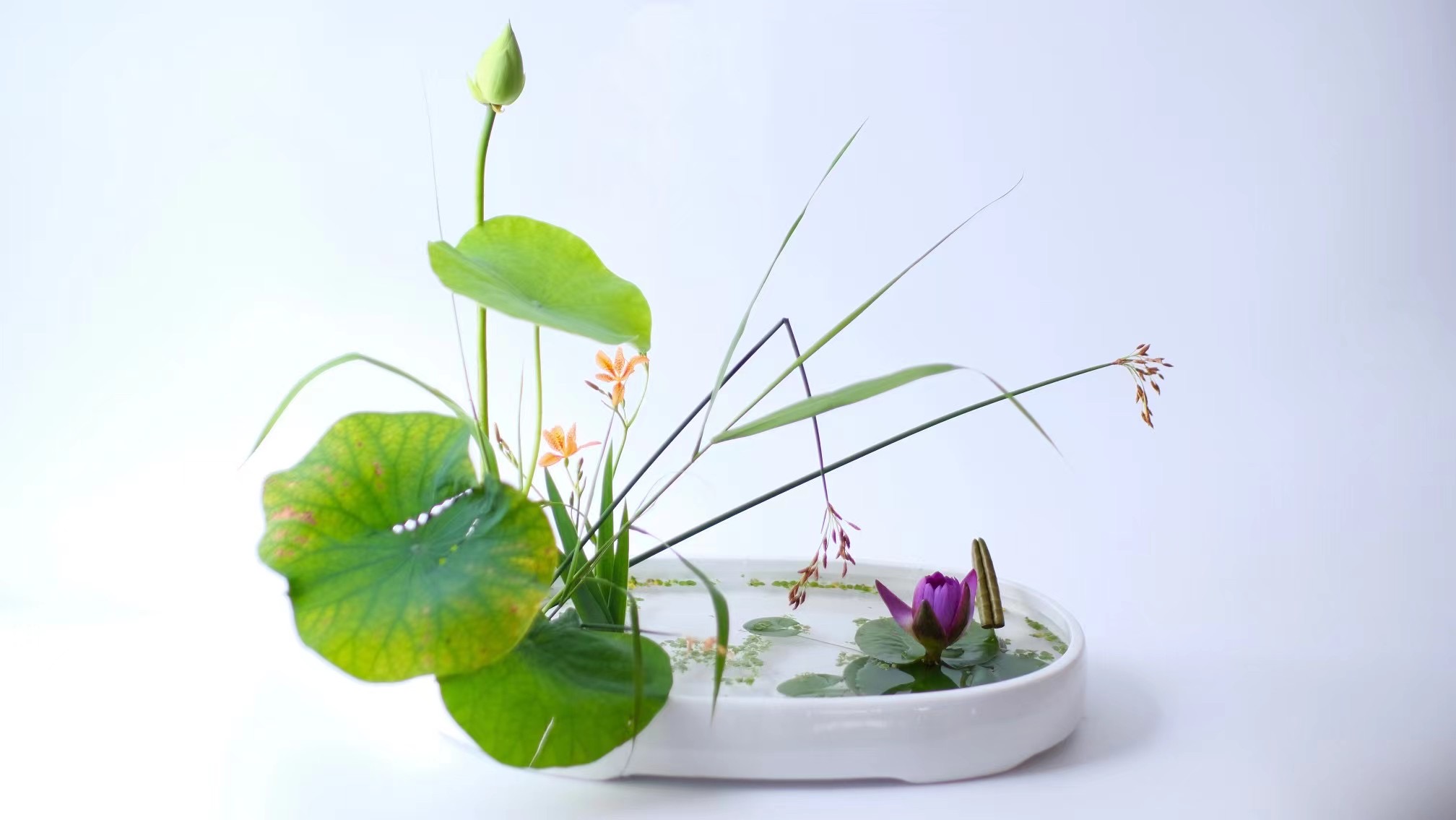 Ohara-ryu Ikebana